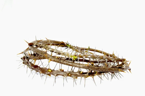 Woven Thorny Branches Depicting Crown Of Thorns — Stock Photo, Image