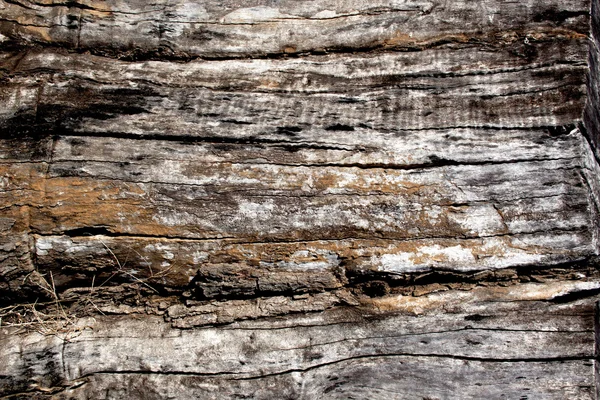 Extreme Nahaufnahme der Holzstruktur auf morschem Baumstamm — Stockfoto