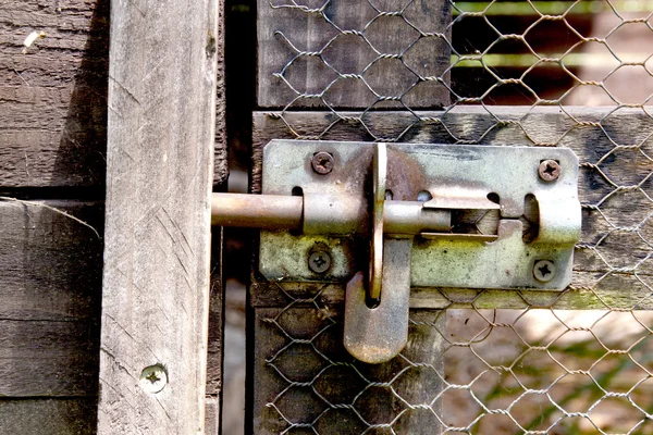Parafuso de metal na porta de malha de arame do aviário do pássaro — Fotografia de Stock