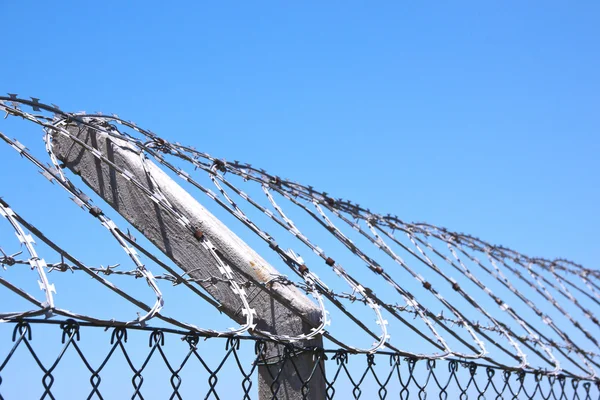 Coiled Razor Wire Fence Against Blue Skyline — Stock Photo, Image