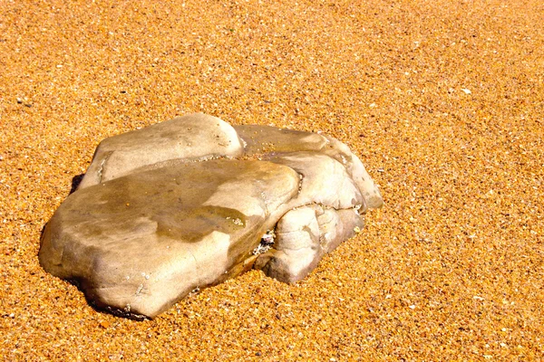 Platte tip van rock uitsteken van zand op strand — Stockfoto