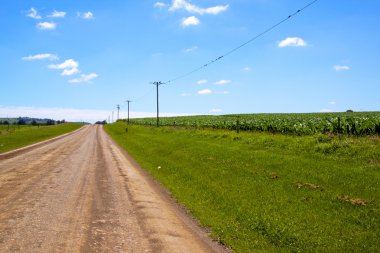Mısır alanları tarafından bordered kırsal çiftlik yolu