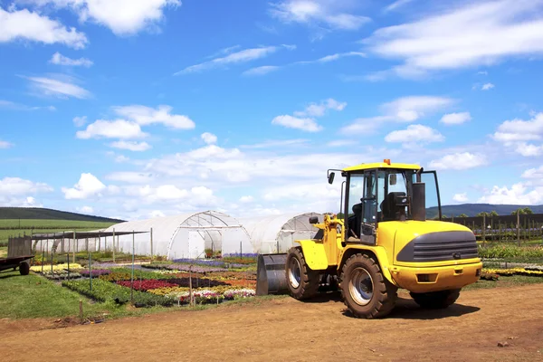 Payloader utilizzato per sollevamento pesante all'orticoltura commerciale — Foto Stock