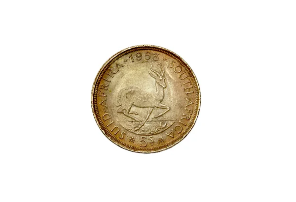 1953 Union Of South Africa Five Shilling Coin — Stock Photo, Image