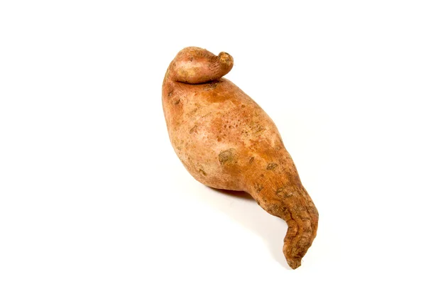 Terisolasi ubi segar pada latar belakang putih — Stok Foto