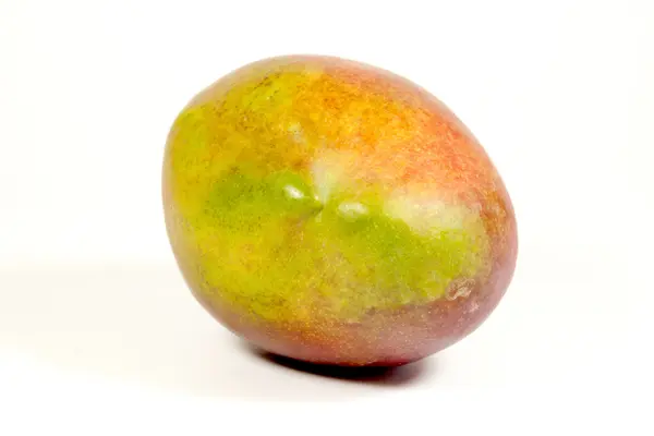 Studioaufnahme von reifen bunten tropischen Mango — Stockfoto