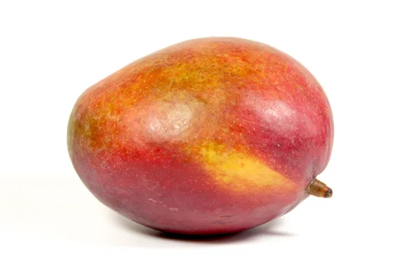 Studio skott av mogen färgglada tropiska mango — Stockfoto