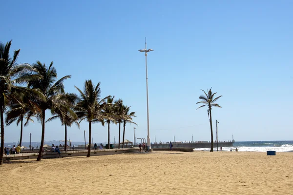 Plaża i palmy drzew w durban, RPA — Zdjęcie stockowe