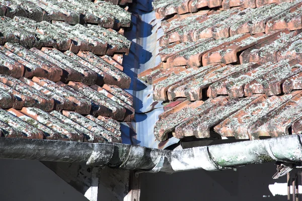 Close Up di tetto coperto di lichene e grondaia — Foto Stock
