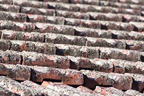 Mattonelle di argilla del tetto al forno ricoperte di lichene — Foto Stock
