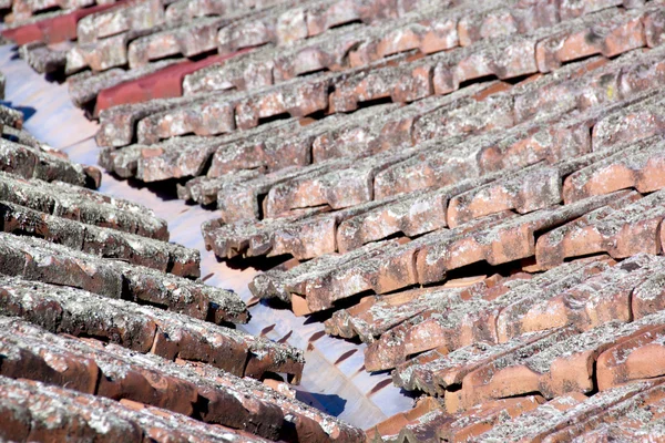 Gros plan de lichen carreaux recouverts et de fer de vallée galvanisé — Photo