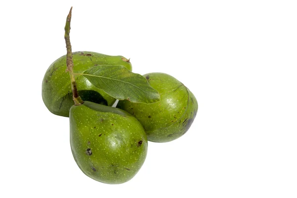 Three Unripe Avocado Pears with Stalk Attached — Stock Photo, Image