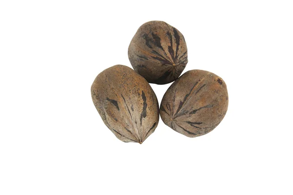 Tres nueces de pacana marrón moteadas recién cosechadas — Foto de Stock