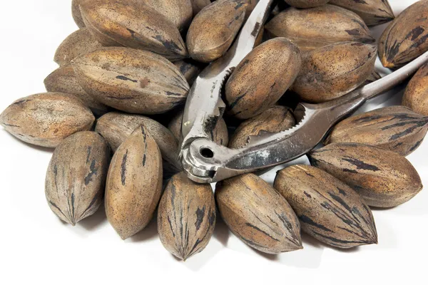 Cascanueces de plata con montón de nueces de pacana — Foto de Stock