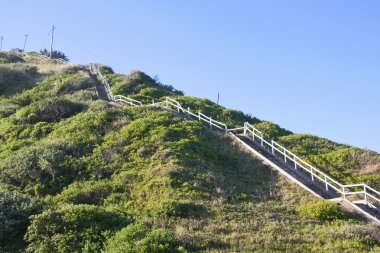 yüksek kumul üstüne uzun Ahşap merdiven
