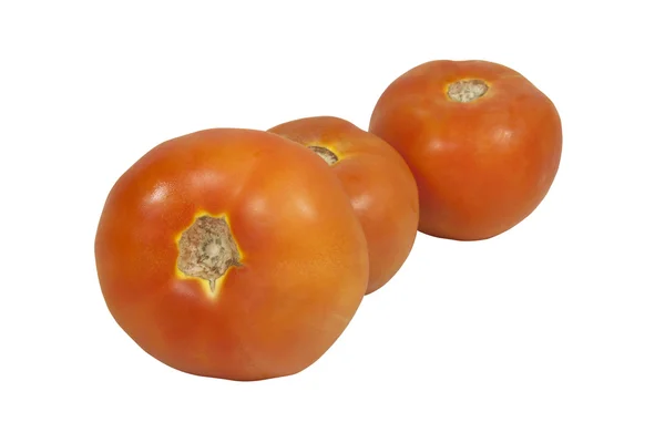 Baris dari tiga tomat merah terisolasi di atas putih — Stok Foto