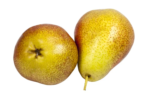 Dos peras doradas frescas y maduras sobre fondo blanco — Foto de Stock