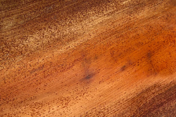 Base of Fallen Palm Leaf Reflecting Patterns and Textures — Stock Photo, Image