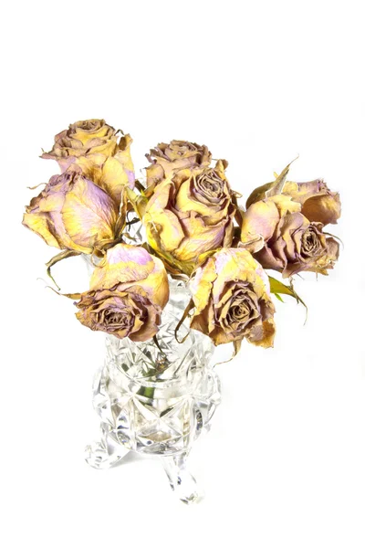 Glass Vase of Eight Dead Mauve Roses — Stock Photo, Image