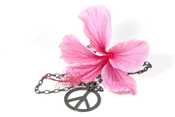 Pink Hibiscus Flower with Silver Peace Pendan — Stock Photo, Image