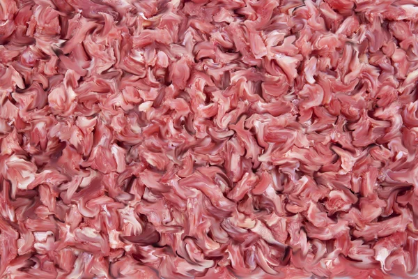 Closeup Pattern andTexture Created Using Minced Beef — Stock Photo, Image