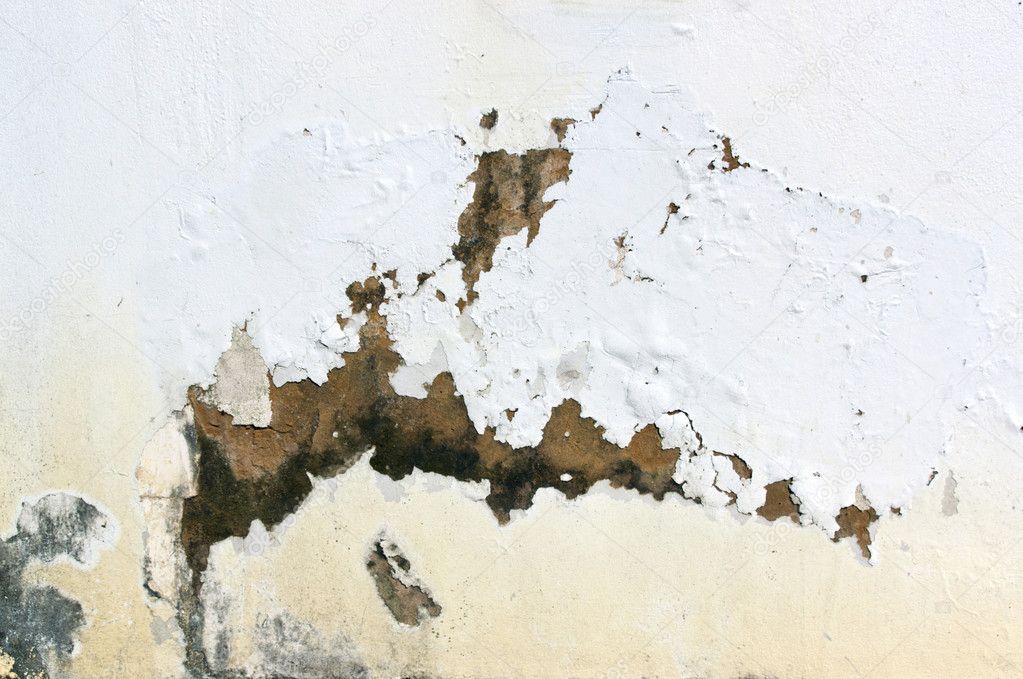 Exterior Wall with Peeling Paint Indicating Rising Damp