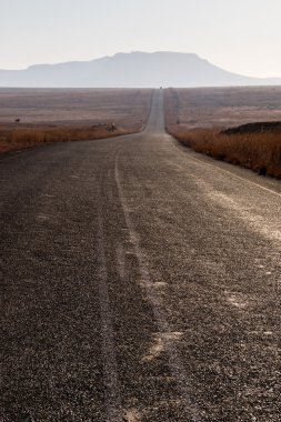 Düz yolda sabah erken Orange Free State, Güney Afrika
