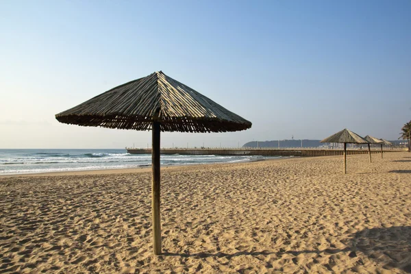 Sun Shade Umbrellas Lined Up on Empty Beach