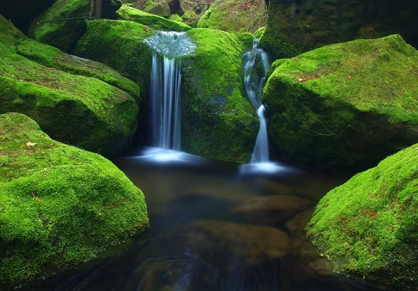 Vue sur cascade d'automne sur rocher de basalte, feuilles colorées, rochers . — Photo