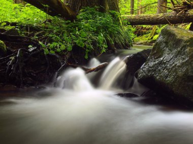 Art arda sıralı küçük dağ dere üzerinde su bazalt kayalar üzerinde çalışıyor.