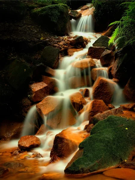 Cascades in rapid stream of mineral water. Red ferric sediments on big boulders between green ferns. — Stock Photo, Image