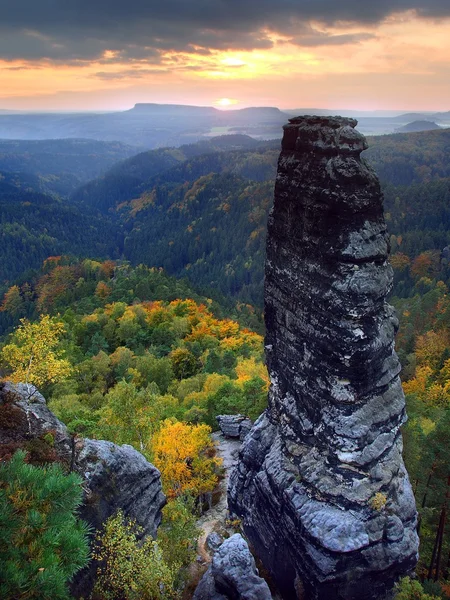 Vista attraverso rami di faggio con foglie nella profonda valle nebbiosa della Svizzera sassone. Picchi di arenaria aumentati da sfondo nebbioso, la nebbia è arancione a causa dell'alba . — Foto Stock