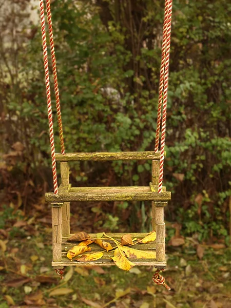 Verlassene Babyschaukel, Herbstblätter. — Stockfoto
