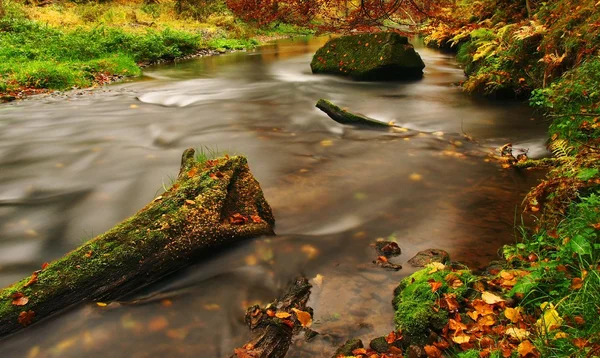 Herfst landschap, kleurrijke bladeren op bomen, ochtend om rivier na regenachtige nacht. — Stockfoto