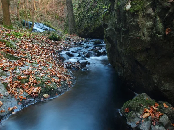 Pierre de basalte et feuilles colorées sous la cascade en automne . — Photo