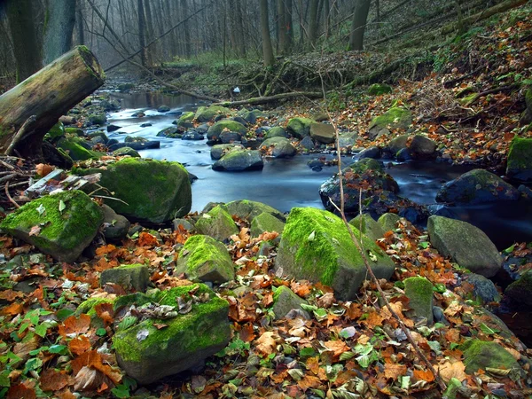 Bazalt kő és színes levelek ősszel vízesés alatt. — Stock Fotó