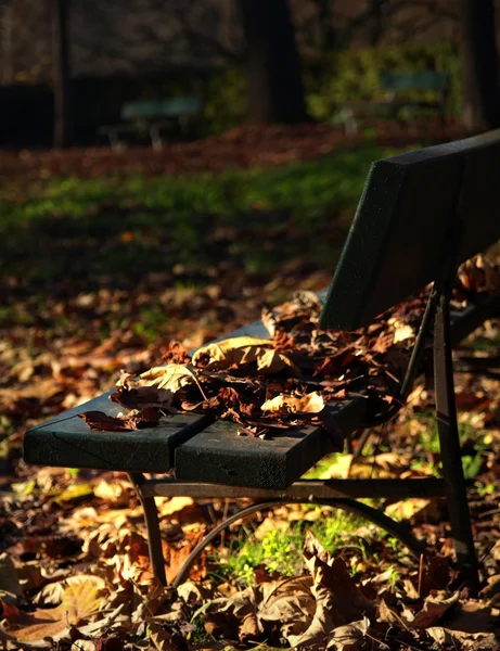 Colorful autumn leaves on abandoned bench in the park. — Stock Photo, Image