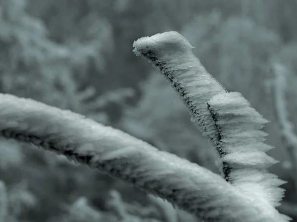 Vue hivernale nocturne sur les glaçons et les rochers glacés dans le ruisseau . — Photo