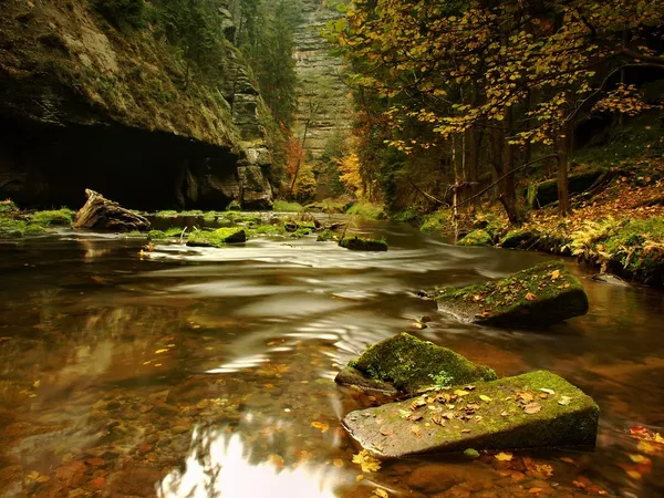 Paisaje otoñal, hojas coloridas en los árboles, mañana en el río después de la noche lluviosa . — Foto de Stock