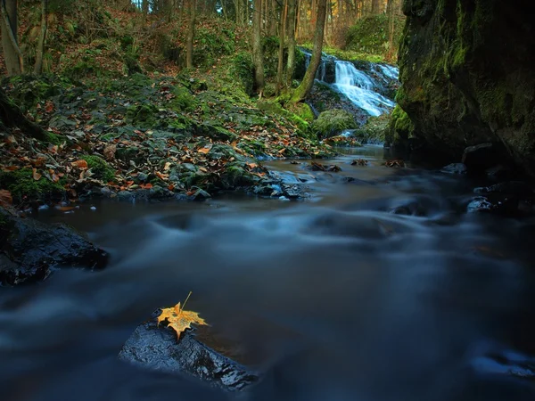 Cascata su piccolo torrente di montagna, l'acqua scorre sui massi di basalto . — Foto Stock