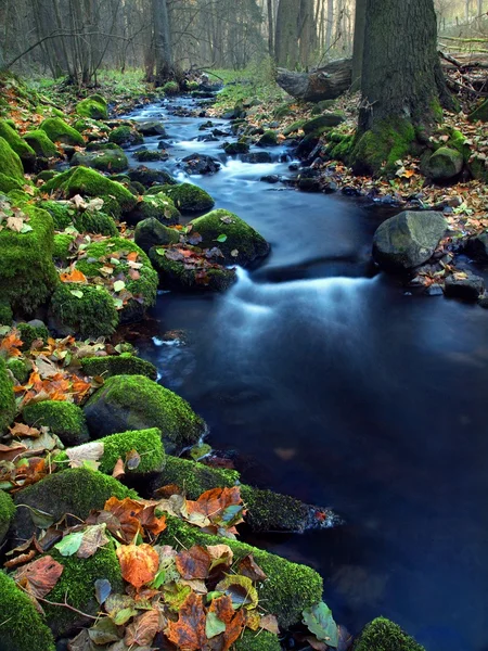 Cascade on small mountain stream, water is running over basalt boulders. — Stock Photo, Image