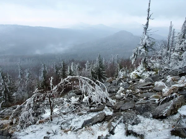 Early cold and misty morning at old hoarfrost beech forest on the mountain, view over frozen grass and boulders to trees and hill. — Stock Photo, Image