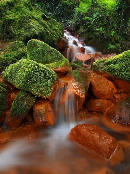 Cascades in rapid stream of mineral water. Red ferric sediments on big boulders between green ferns. — Stock Photo, Image