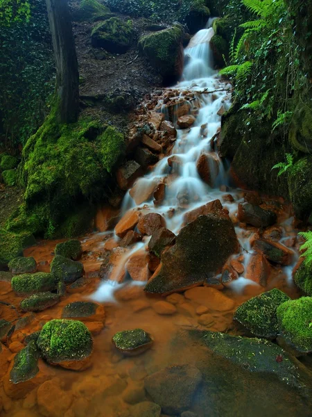 Kaskaden im schnellen Strom von Mineralwasser. rote Eisensedimente auf großen Felsbrocken zwischen grünen Farnen. — Stockfoto