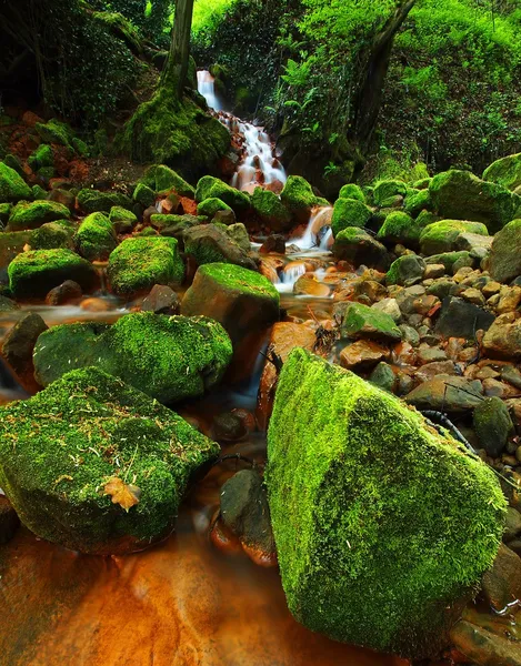 Cascades in snelle stroom van mineraalwater. rode ijzer(III) sedimenten op grote rotsblokken tussen groene varens. — Stockfoto