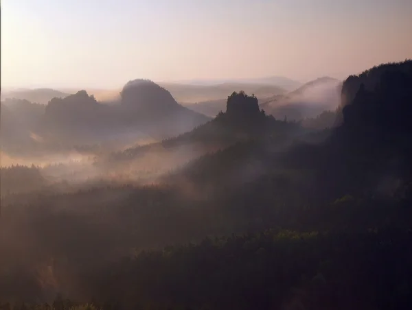 View through beech branches with leaves into deep misty valley in Saxon Switzerland. Sandstone peaks increased from foggy background, the fog is orange due to sunrise. — Stock Photo, Image