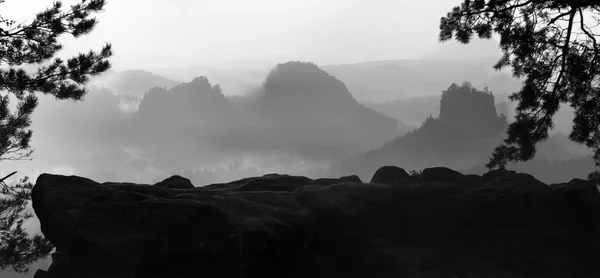 Autumn misty valley full of morning mist view through branches. Foggy and misty daybreak on the sandstone view point in national park Saxony Switzerland in Germany. Misty landscape. — Stock Photo, Image