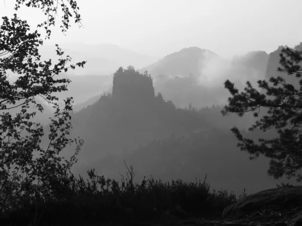 Outono vale nebuloso cheio de neblina manhã vista através de ramos. Alvorada nebulosa e nebulosa no ponto de vista de arenito no parque nacional Saxônia Suíça na Alemanha. Paisagem nebulosa . — Fotografia de Stock