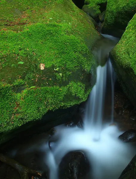 Cascata su piccolo torrente di montagna, l'acqua scorre sui massi di basalto . — Foto Stock