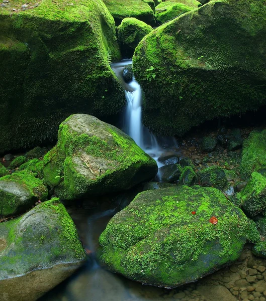 Trapsgewijs op kleine bergbeek, water wordt uitgevoerd over basalt stenen. — Stockfoto